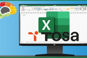 Learning Excel 365 – Advanced (TOSA)